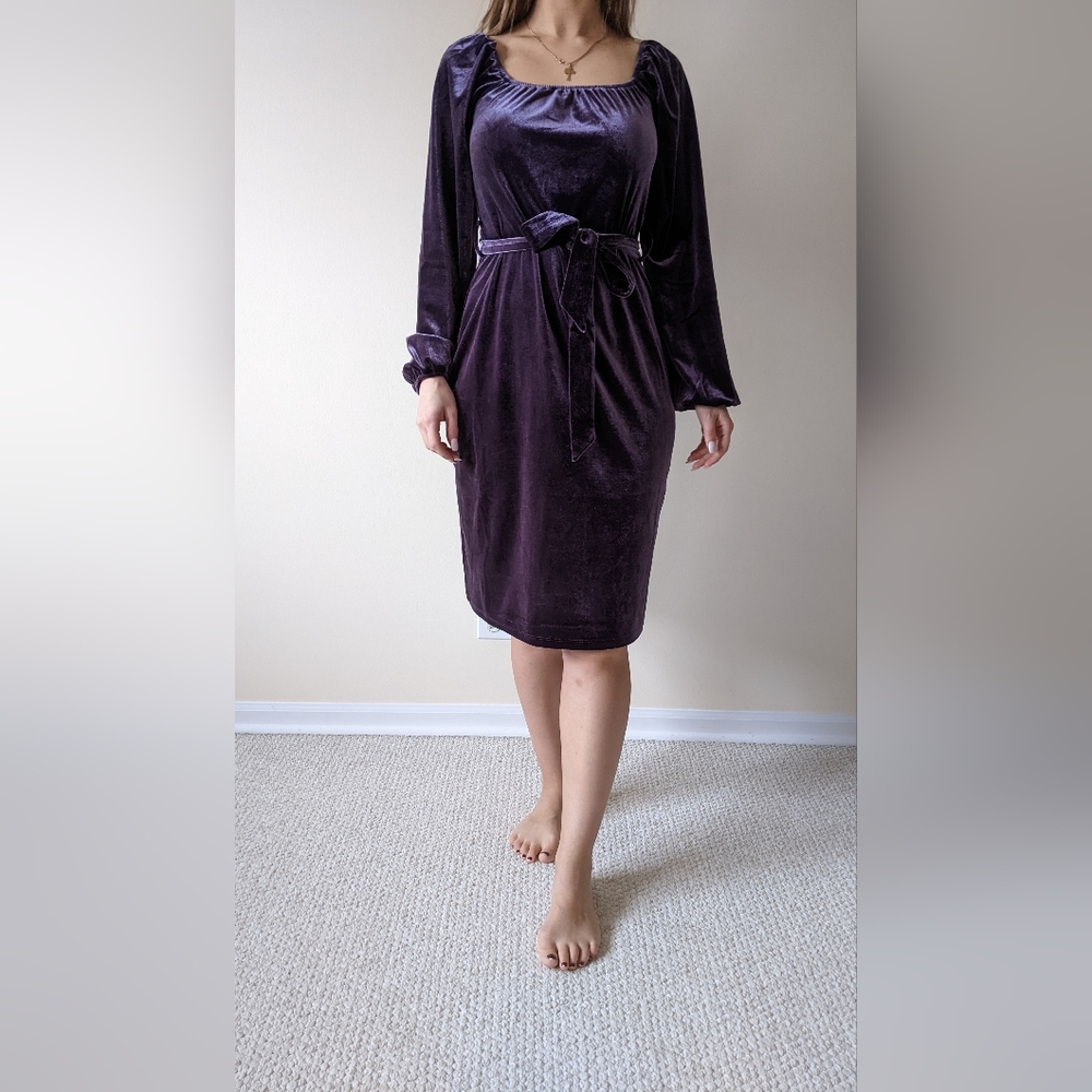 NWT Velour purple dress